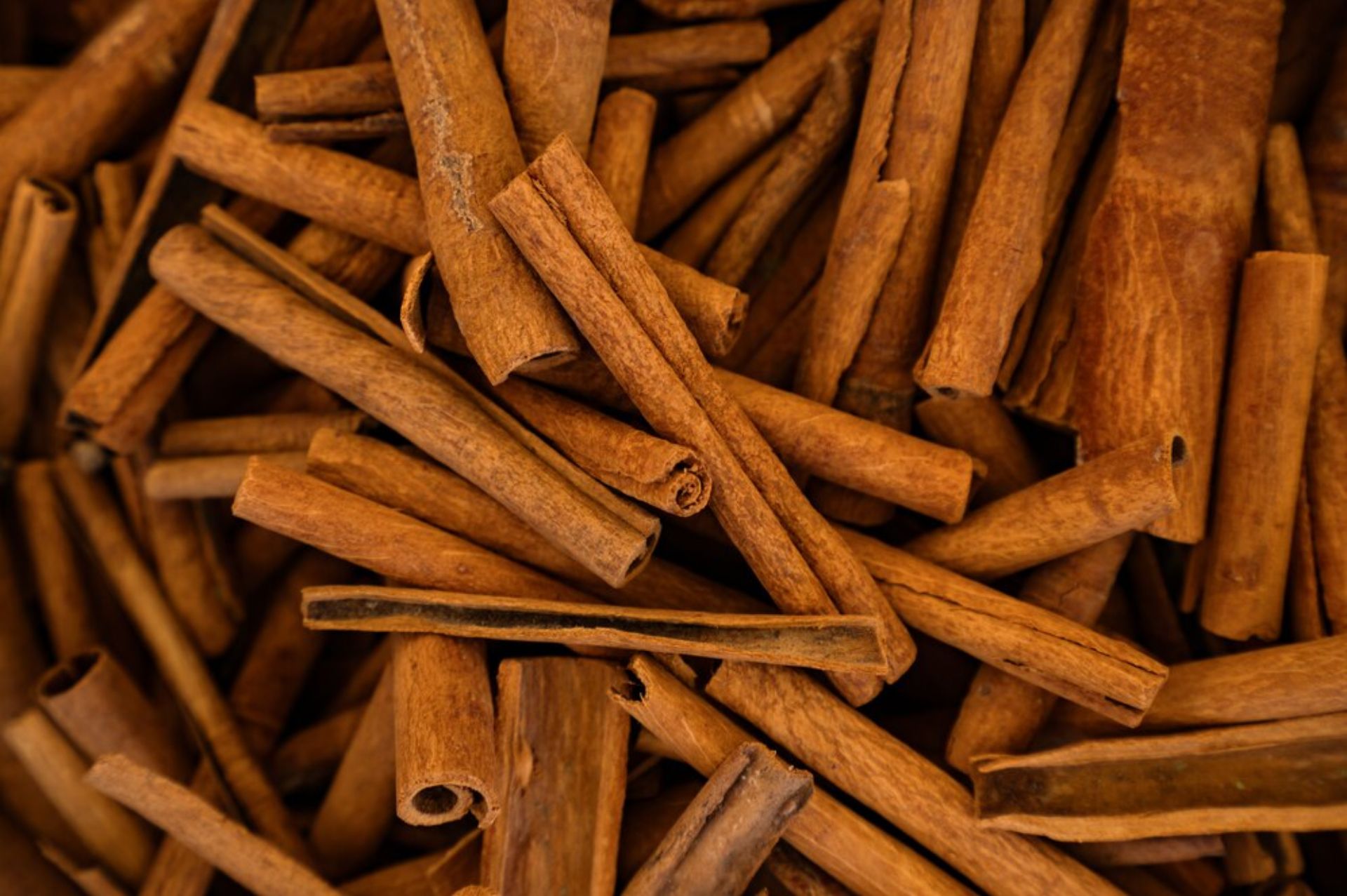 肉桂皮 Cinnamon bark